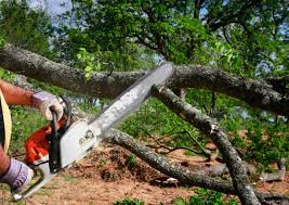 Landscape Design and Installation in Port Carbon, PA